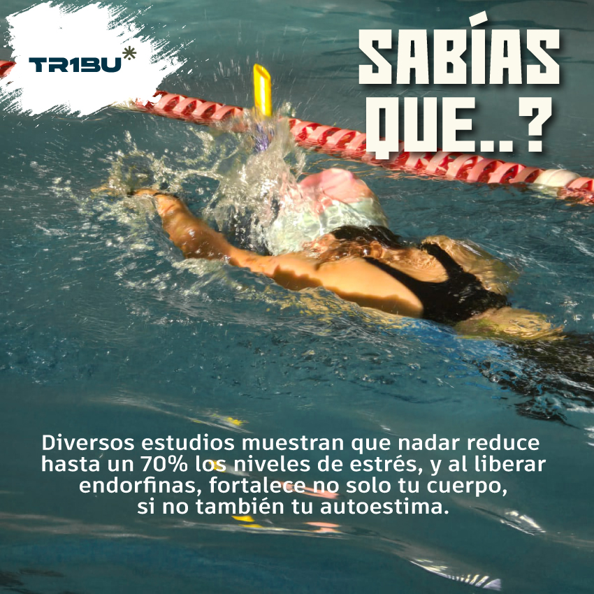 558209171_726665397065014_3496866452068314612_n