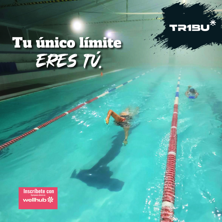 592412754_772214385843448_6837142055829378467_n